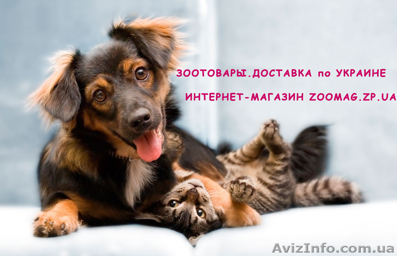 можно ли стирaть туфли изнутри