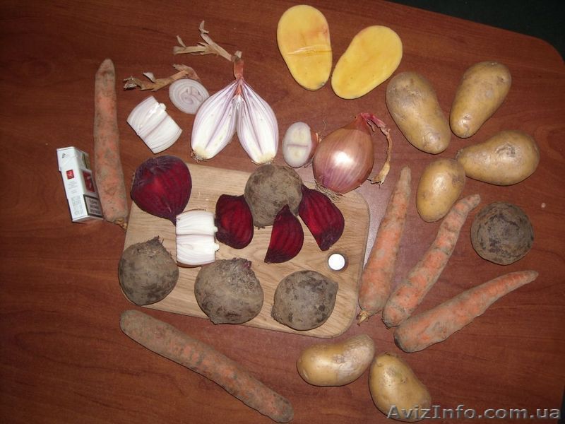 Буряк Морква  Капуста пекинская Картошка Лук  - <ro>Изображение</ro><ru>Изображение</ru> #1, <ru>Объявление</ru> #18473