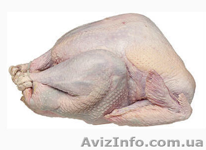 Индюшатина и Индюк - <ro>Изображение</ro><ru>Изображение</ru> #1, <ru>Объявление</ru> #139815