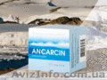 Анкарцин - Защита и востановление - <ro>Изображение</ro><ru>Изображение</ru> #1, <ru>Объявление</ru> #228336