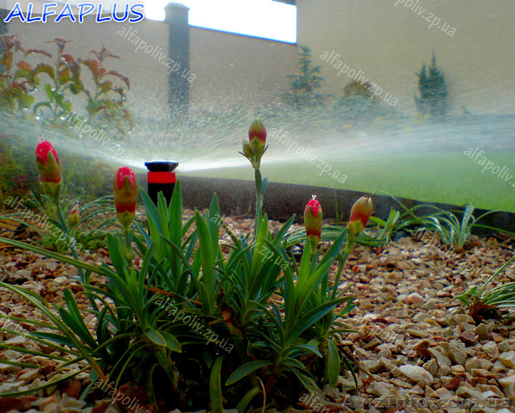 Автоматизированный полив - <ro>Изображение</ro><ru>Изображение</ru> #1, <ru>Объявление</ru> #225336