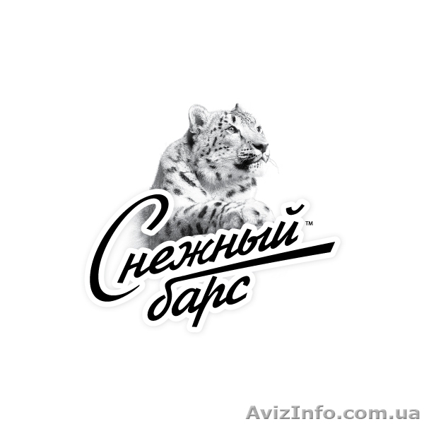 Правовая помощь при ДТП - <ro>Изображение</ro><ru>Изображение</ru> #1, <ru>Объявление</ru> #287258