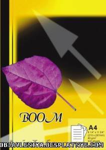 ОФИСНАЯ БУМАГА  ФОРМАТА А4 - <ro>Изображение</ro><ru>Изображение</ru> #1, <ru>Объявление</ru> #450652