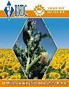 Семена подсолнечника(посевмат) - <ro>Изображение</ro><ru>Изображение</ru> #1, <ru>Объявление</ru> #2530