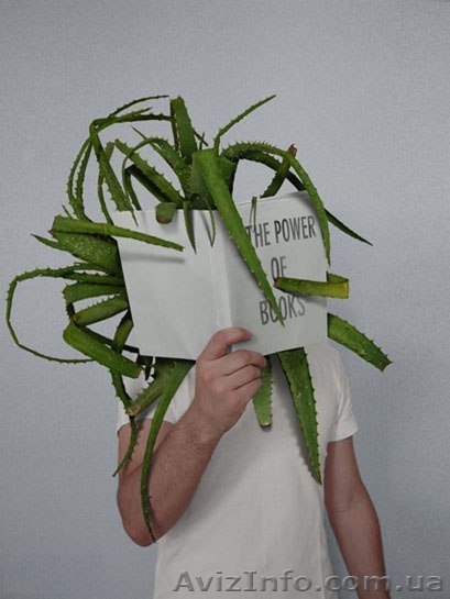 Курсы скорочтения и развития памяти - <ro>Изображение</ro><ru>Изображение</ru> #1, <ru>Объявление</ru> #698011