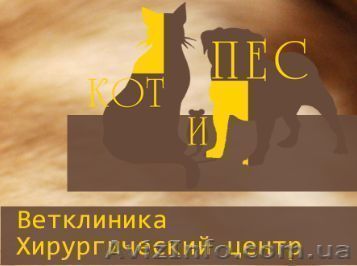 ветклиники Запорожье - <ro>Изображение</ro><ru>Изображение</ru> #1, <ru>Объявление</ru> #739267
