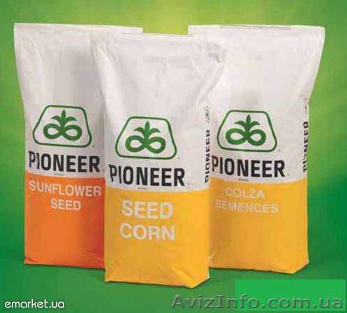 Посевной материал Пионер - Pioneer DuPont Company - <ro>Изображение</ro><ru>Изображение</ru> #1, <ru>Объявление</ru> #782958