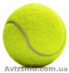 Большой теннис. Услуги тренера, спарринга. - <ro>Изображение</ro><ru>Изображение</ru> #1, <ru>Объявление</ru> #761441