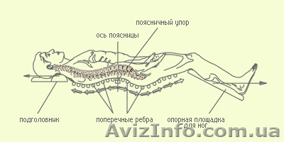Вытяжка позвоночного столба - <ro>Изображение</ro><ru>Изображение</ru> #1, <ru>Объявление</ru> #817052
