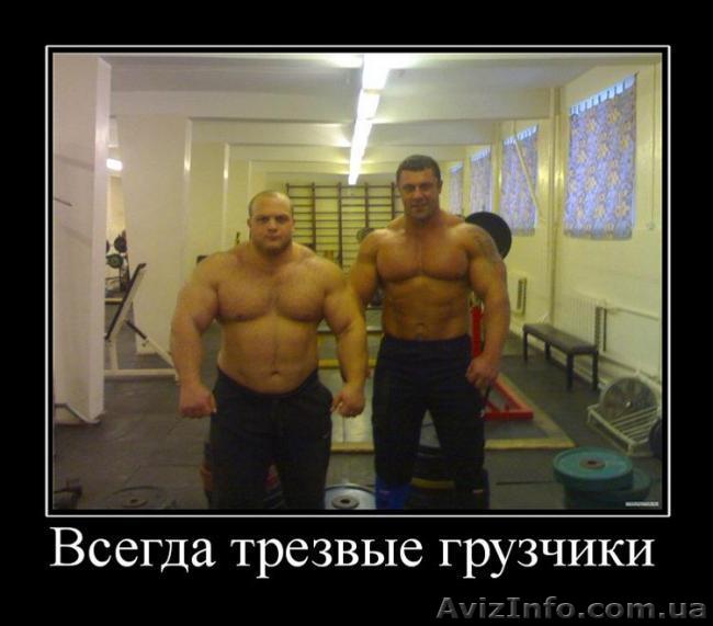 Профессиональные, трезвые грузчики - <ro>Изображение</ro><ru>Изображение</ru> #1, <ru>Объявление</ru> #822441