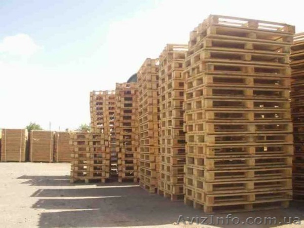 поддоны 1100х1100, новые - <ro>Изображение</ro><ru>Изображение</ru> #1, <ru>Объявление</ru> #883658