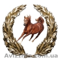 Видео Студия в Запорожье-VideoCam Studio - <ro>Изображение</ro><ru>Изображение</ru> #1, <ru>Объявление</ru> #335033