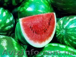 Продам арбуз Мелитополь - <ro>Изображение</ro><ru>Изображение</ru> #1, <ru>Объявление</ru> #944061
