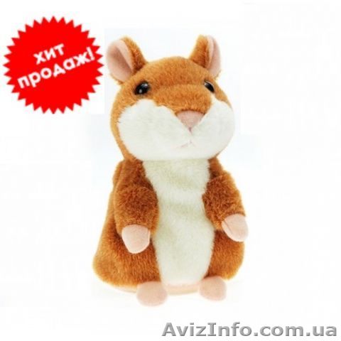 Говорящий хомяк который покорил интернет, теперь доступен и в Запорожье - <ro>Изображение</ro><ru>Изображение</ru> #1, <ru>Объявление</ru> #968906
