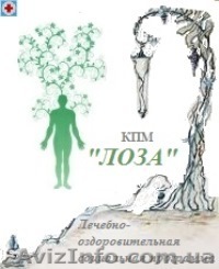 Услуги массажа по СОЦИАЛЬНЫМ ценам - <ro>Изображение</ro><ru>Изображение</ru> #1, <ru>Объявление</ru> #1030259