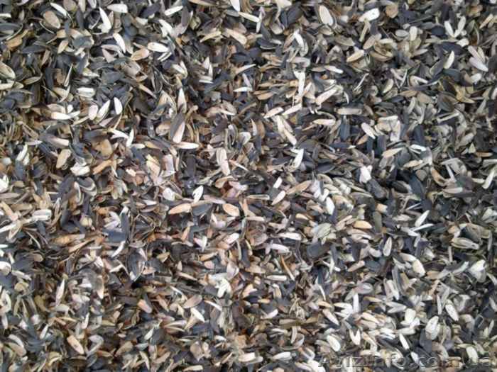 Куплю лузгу (шелуху) подсолнечника - <ro>Изображение</ro><ru>Изображение</ru> #1, <ru>Объявление</ru> #1147084