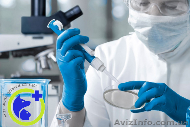 Анализы на наличие инфекций - <ro>Изображение</ro><ru>Изображение</ru> #1, <ru>Объявление</ru> #1168374