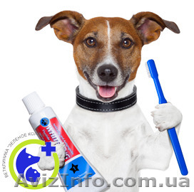 Стоматолог для животных - <ro>Изображение</ro><ru>Изображение</ru> #1, <ru>Объявление</ru> #1168386