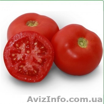 Семена томата KS 898 F1 фирмы Китано - <ro>Изображение</ro><ru>Изображение</ru> #1, <ru>Объявление</ru> #1278791