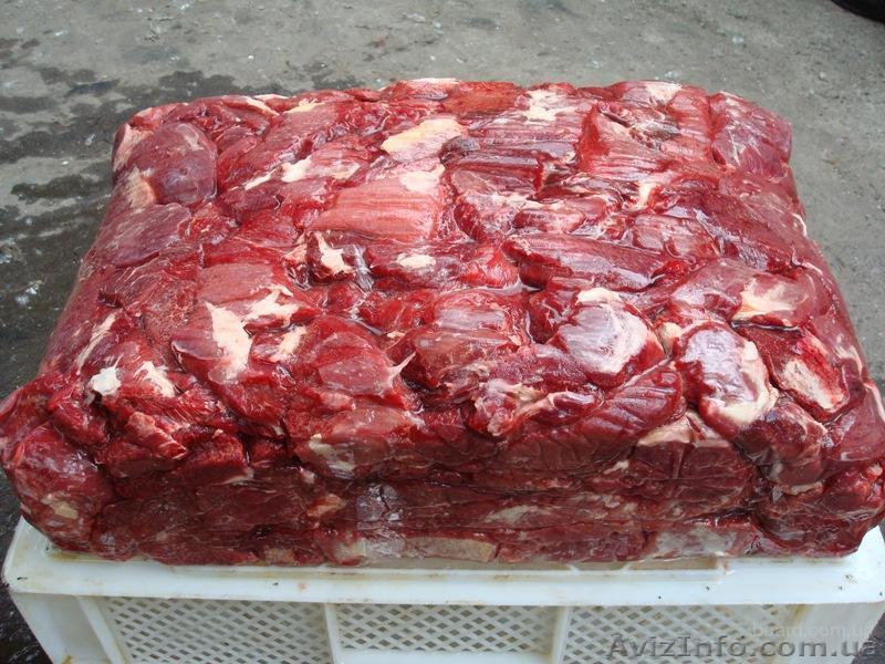 Говядина в блоках, обваленная 1 сорт (1/3 2 сорт), мясо оптом. - <ro>Изображение</ro><ru>Изображение</ru> #1, <ru>Объявление</ru> #1288780