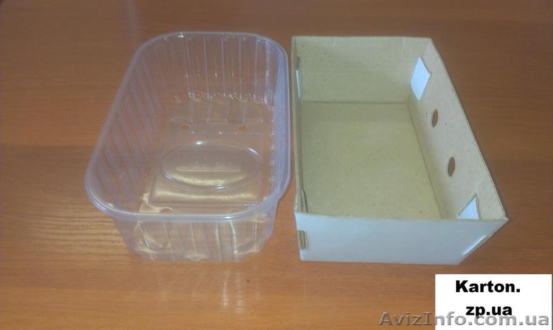 Бокс для ягод (панетка). - <ro>Изображение</ro><ru>Изображение</ru> #1, <ru>Объявление</ru> #1223075