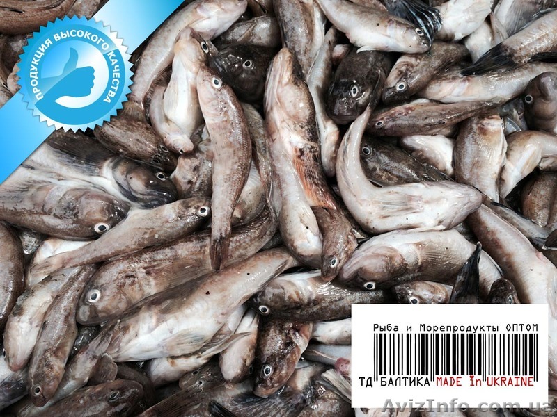 Бычки охлажденные с борта судна в Бердянске  - <ro>Изображение</ro><ru>Изображение</ru> #1, <ru>Объявление</ru> #1334089