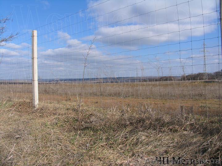 Самый дешевый забор из сетки Казачка облегченной - <ro>Изображение</ro><ru>Изображение</ru> #1, <ru>Объявление</ru> #1353381