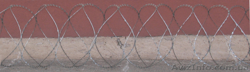 Егоза ТМ Казачка - <ro>Изображение</ro><ru>Изображение</ru> #1, <ru>Объявление</ru> #1353363