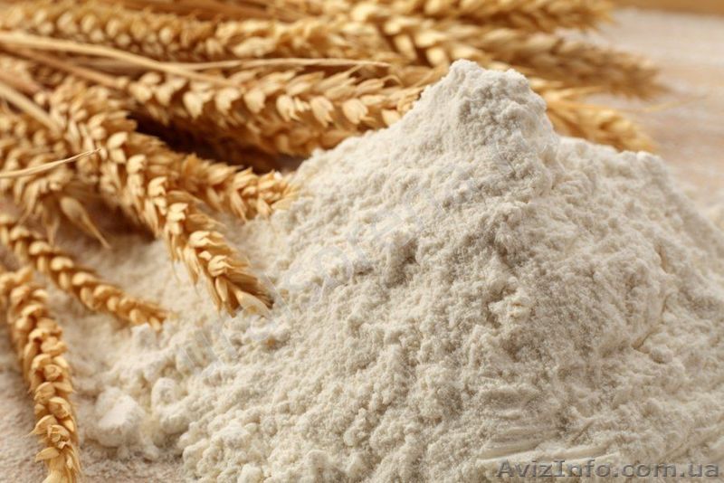 Продам муку пшеничную оптом. - <ro>Изображение</ro><ru>Изображение</ru> #1, <ru>Объявление</ru> #1347501