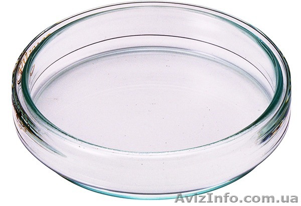 Чашка  Петри, стеклянная, лабораторная. - <ro>Изображение</ro><ru>Изображение</ru> #1, <ru>Объявление</ru> #1465870