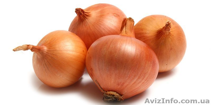 Реализуем репчатый лук - <ro>Изображение</ro><ru>Изображение</ru> #1, <ru>Объявление</ru> #1509195