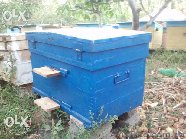 Изготовление ульев для пчел ,многокорпусных , лежаков дадан - <ro>Изображение</ro><ru>Изображение</ru> #1, <ru>Объявление</ru> #1516660