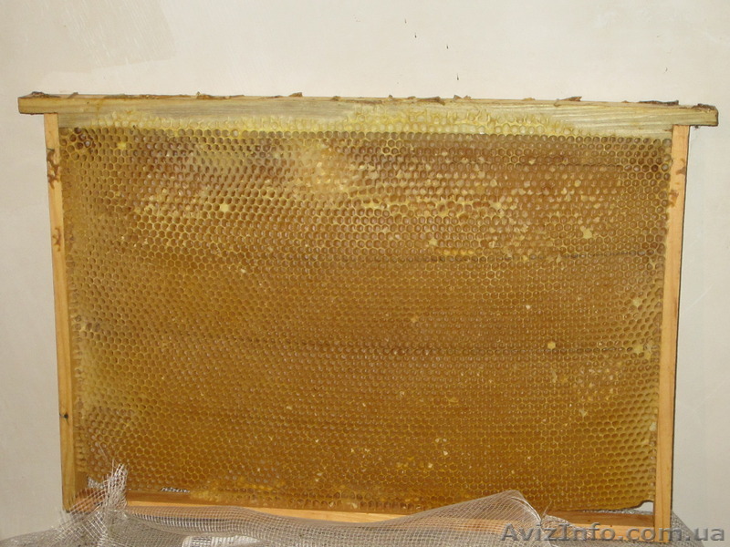 Продам рамки-сушь Дадан - <ro>Изображение</ro><ru>Изображение</ru> #1, <ru>Объявление</ru> #1516671