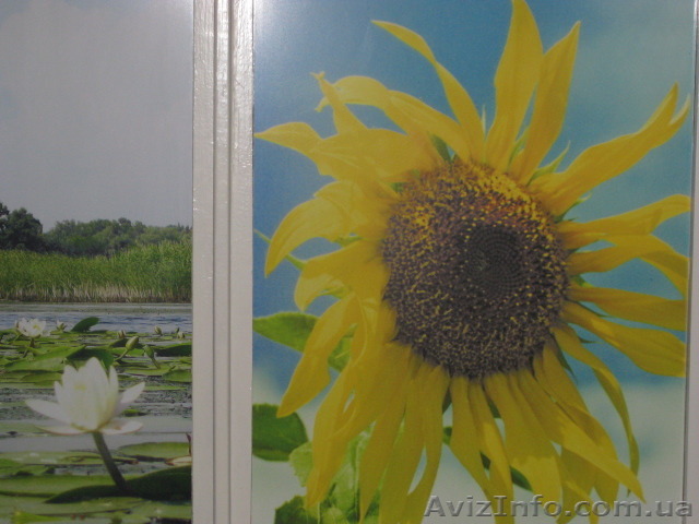 косметика ,парфюмерия - <ro>Изображение</ro><ru>Изображение</ru> #1, <ru>Объявление</ru> #1556368