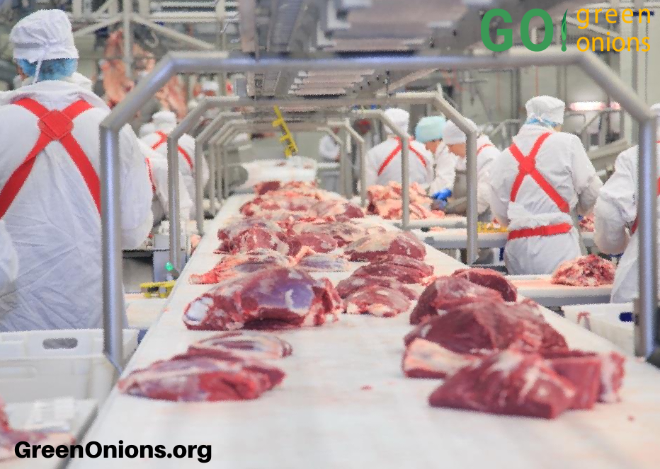 Работа в Литве, упаковщик, оператор, комплектовщик товаров - <ro>Изображение</ro><ru>Изображение</ru> #1, <ru>Объявление</ru> #1720224