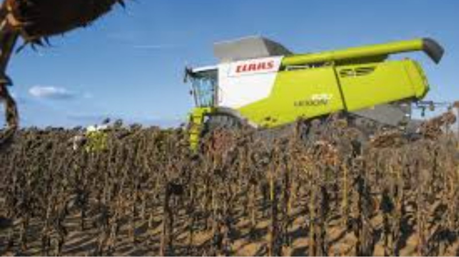 Нанять комбайн,услуги по уборке урожая комбайнами Запорожье,посев,дисковка. - <ro>Изображение</ro><ru>Изображение</ru> #1, <ru>Объявление</ru> #1728042