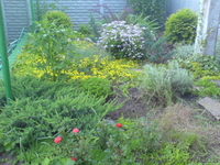 Продам дачу срочно! - <ro>Изображение</ro><ru>Изображение</ru> #2, <ru>Объявление</ru> #56369