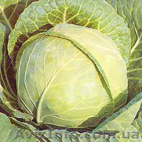 Продам картофель, свеклу,морковь. и тд. - <ro>Изображение</ro><ru>Изображение</ru> #2, <ru>Объявление</ru> #52117