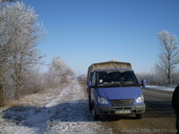 ЧП Яковлева Е.А. - <ro>Изображение</ro><ru>Изображение</ru> #1, <ru>Объявление</ru> #6881