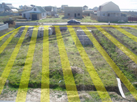 Продам участок в Кирилловке - <ro>Изображение</ro><ru>Изображение</ru> #3, <ru>Объявление</ru> #166442