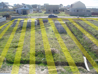 участок в Кирилловке Степок - <ro>Изображение</ro><ru>Изображение</ru> #3, <ru>Объявление</ru> #184650