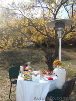 Выездное обслуживание. Кейтеринг. Организация банкетов, фуршетов. - <ro>Изображение</ro><ru>Изображение</ru> #7, <ru>Объявление</ru> #194904