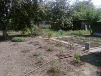  Срочная продажа дома за реально НИЗКУЮ цену(ОРЕХОВ Запорожской) - <ro>Изображение</ro><ru>Изображение</ru> #10, <ru>Объявление</ru> #304692