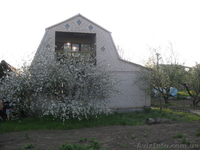 Продам дачу. Плавни грузовые. - <ro>Изображение</ro><ru>Изображение</ru> #3, <ru>Объявление</ru> #330965