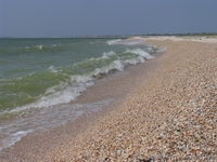 «День Независимости» на Обиточной косе (Азовское море).  - <ro>Изображение</ro><ru>Изображение</ru> #3, <ru>Объявление</ru> #339054