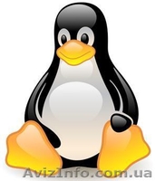 Установка Windows, Linux в Запорожье - <ro>Изображение</ro><ru>Изображение</ru> #1, <ru>Объявление</ru> #399552