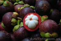 Сок XanGo Ксанго - <ro>Изображение</ro><ru>Изображение</ru> #2, <ru>Объявление</ru> #547121