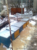 ульи новые трех- корпусные - <ro>Изображение</ro><ru>Изображение</ru> #2, <ru>Объявление</ru> #565022