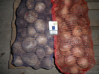 Продам свеклу столовую оптом и мелким оптом  - <ro>Изображение</ro><ru>Изображение</ru> #3, <ru>Объявление</ru> #585265