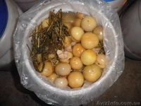 Продам помидоры маринованные в бочках оптом и мелким оптом  - <ro>Изображение</ro><ru>Изображение</ru> #1, <ru>Объявление</ru> #585263